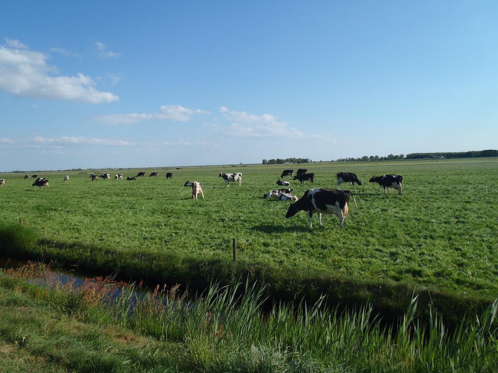 Vakantiehuis Kiki Sondel Luaran gambar